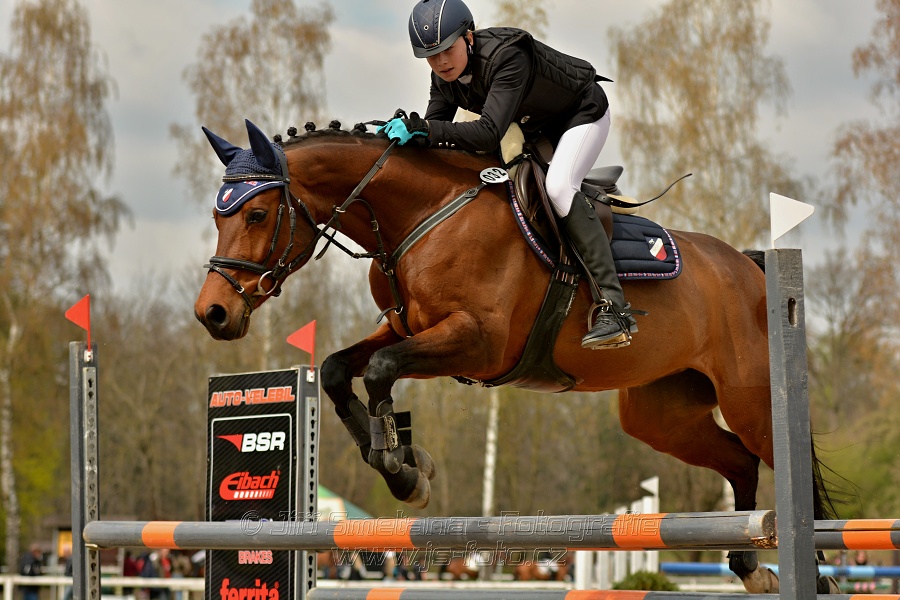 Skoková soutěž stupně „ZL“, bez rozeskakování