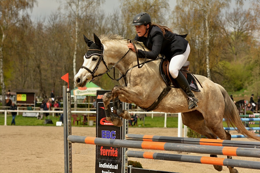 Skoková soutěž stupně „ZL“, bez rozeskakování