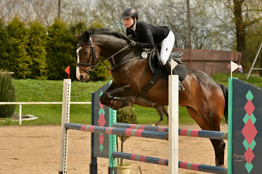 Skoková soutěž stupně „ZL“, bez rozeskakování