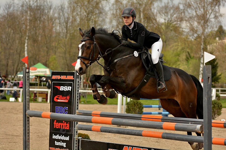 Skoková soutěž stupně „ZL“, bez rozeskakování