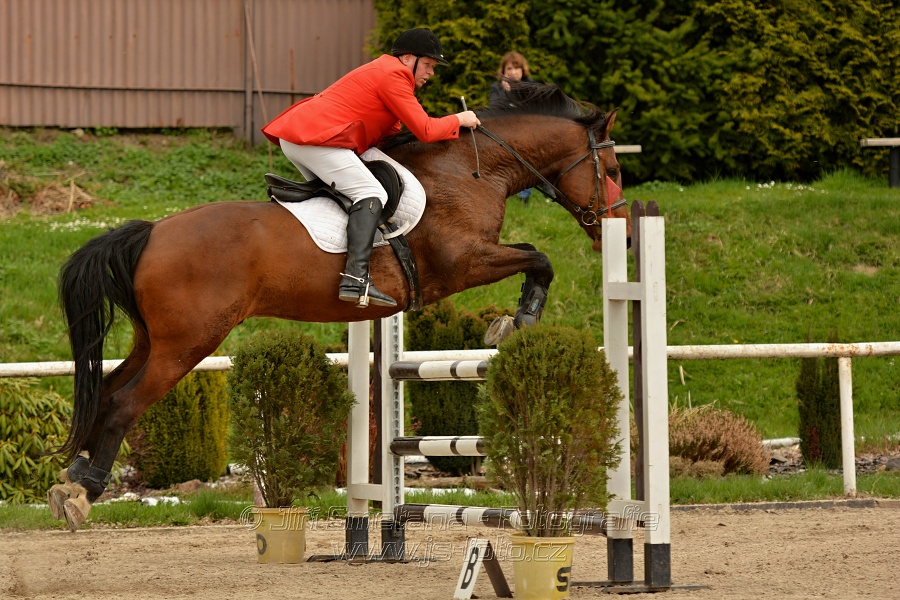 Skoková soutěž stupně „ZL“, bez rozeskakování