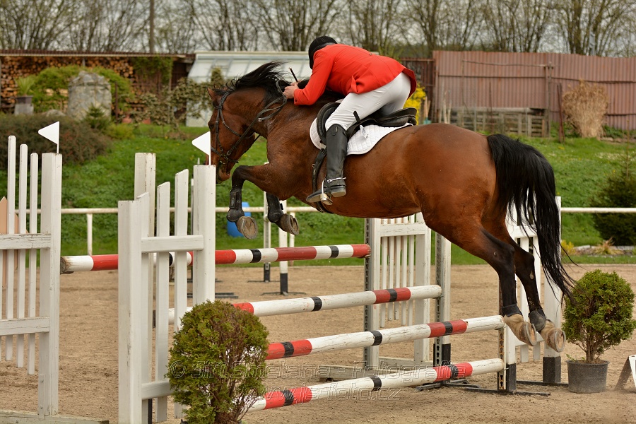 Skoková soutěž stupně „ZL“, bez rozeskakování