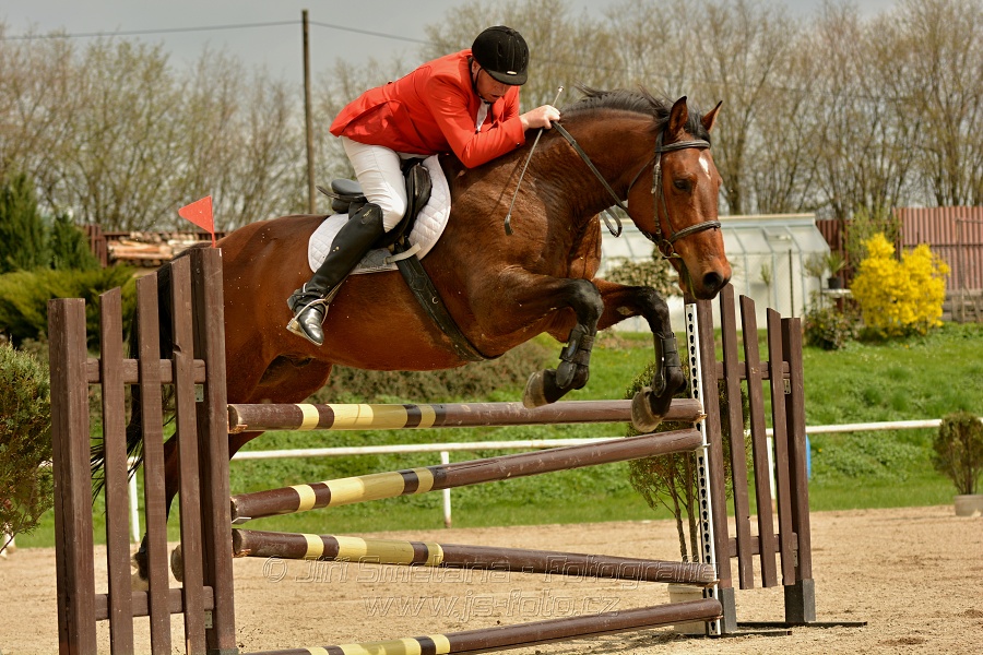 Skoková soutěž stupně „ZL“, bez rozeskakování