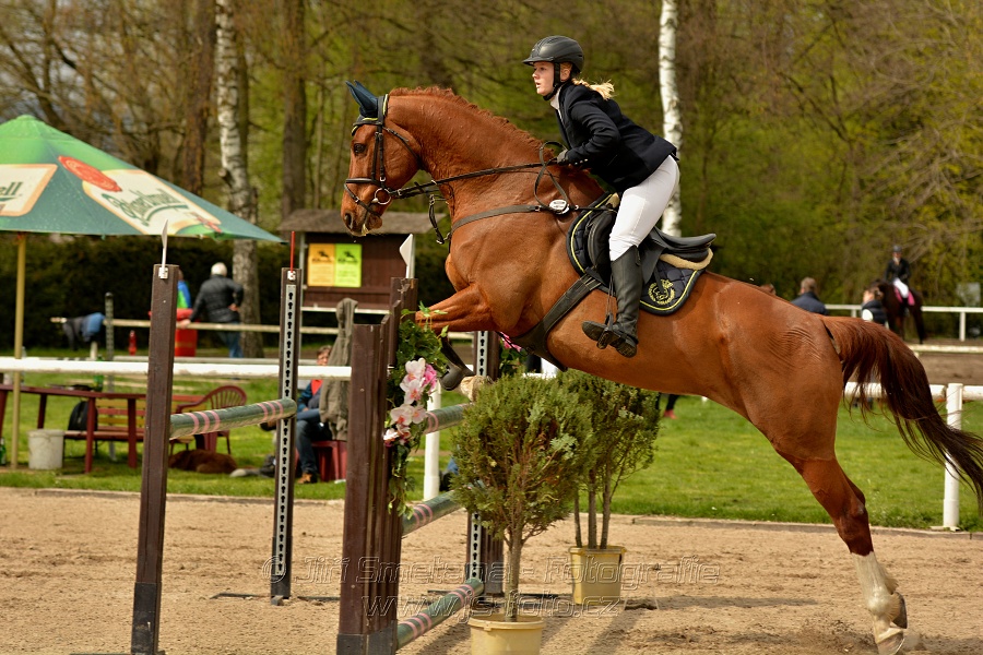 Skoková soutěž stupně „ZL“, bez rozeskakování