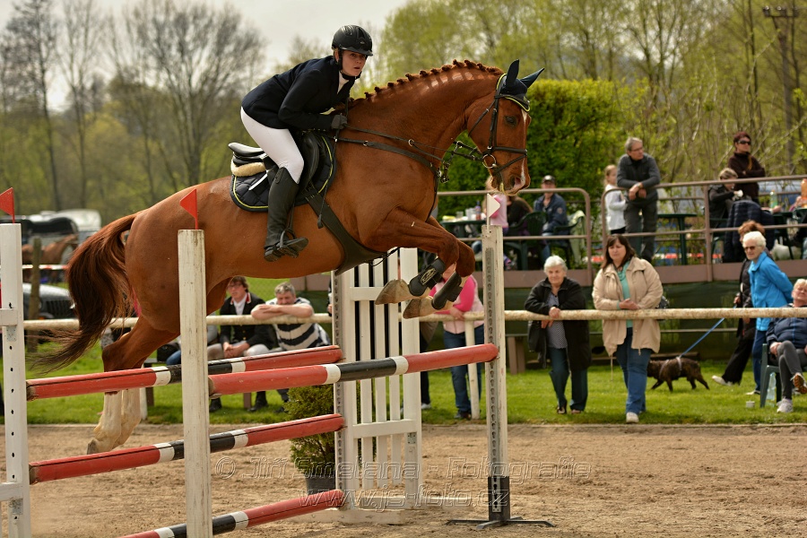 Skoková soutěž stupně „ZL“, bez rozeskakování