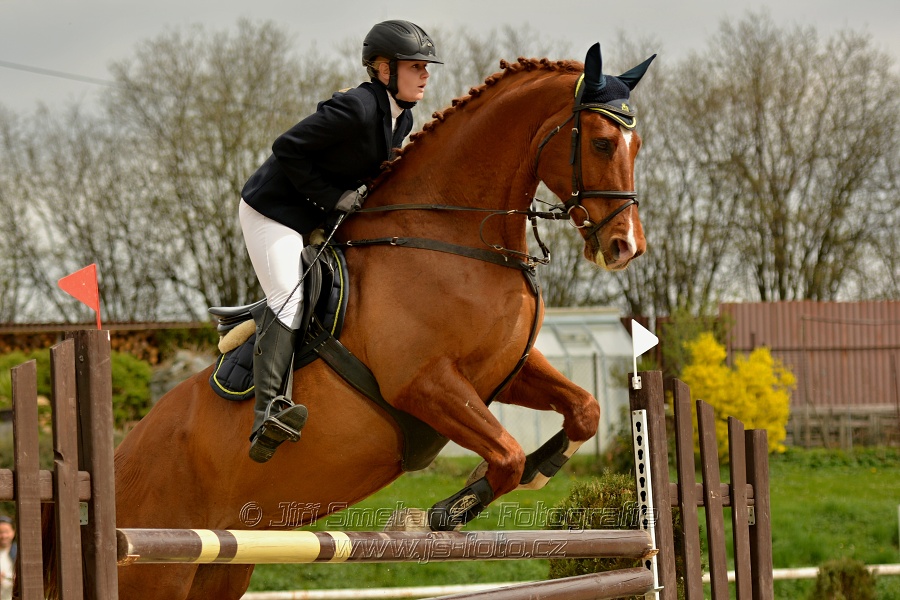 Skoková soutěž stupně „ZL“, bez rozeskakování