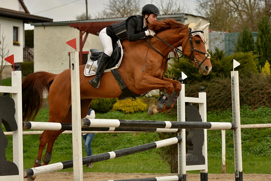 Skoková soutěž stupně „ZL“, bez rozeskakování