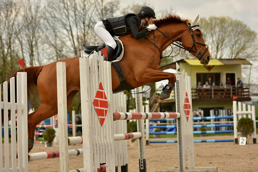 Skoková soutěž stupně „ZL“, bez rozeskakování