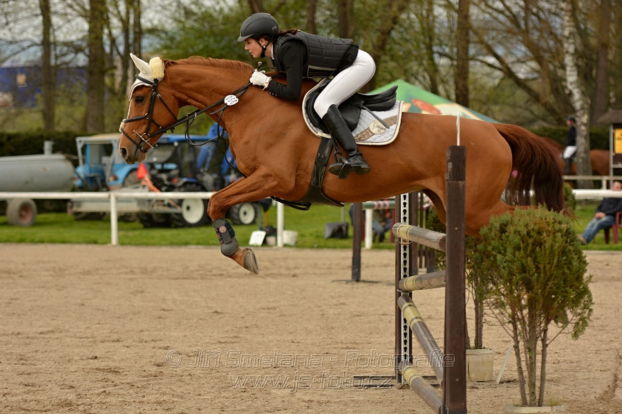 Skoková soutěž stupně „ZL“, bez rozeskakování