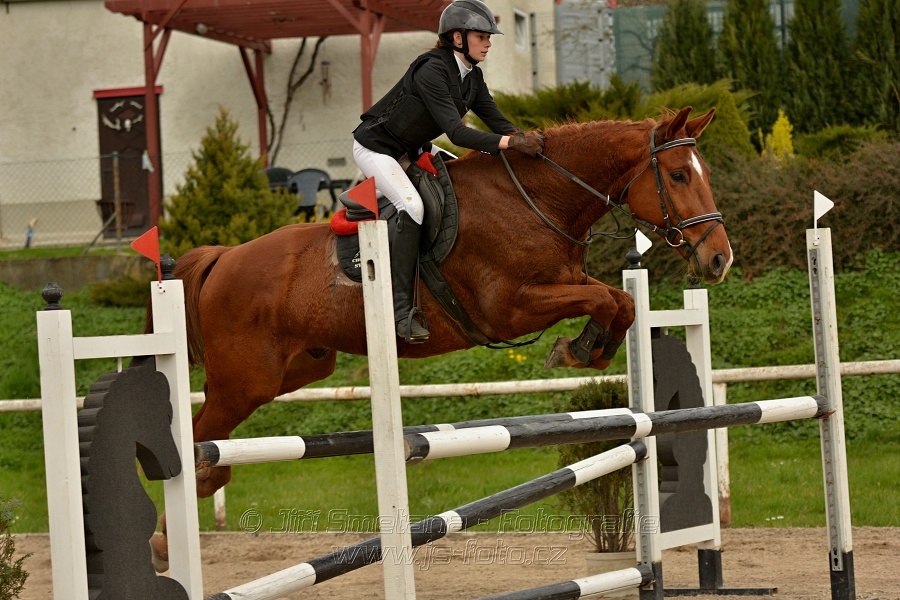 Skoková soutěž stupně „ZL“, bez rozeskakování