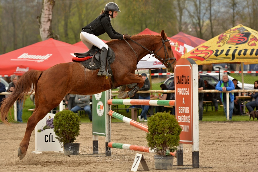 Skoková soutěž stupně „ZL“, bez rozeskakování