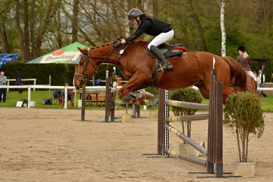 Skoková soutěž stupně „ZL“, bez rozeskakování