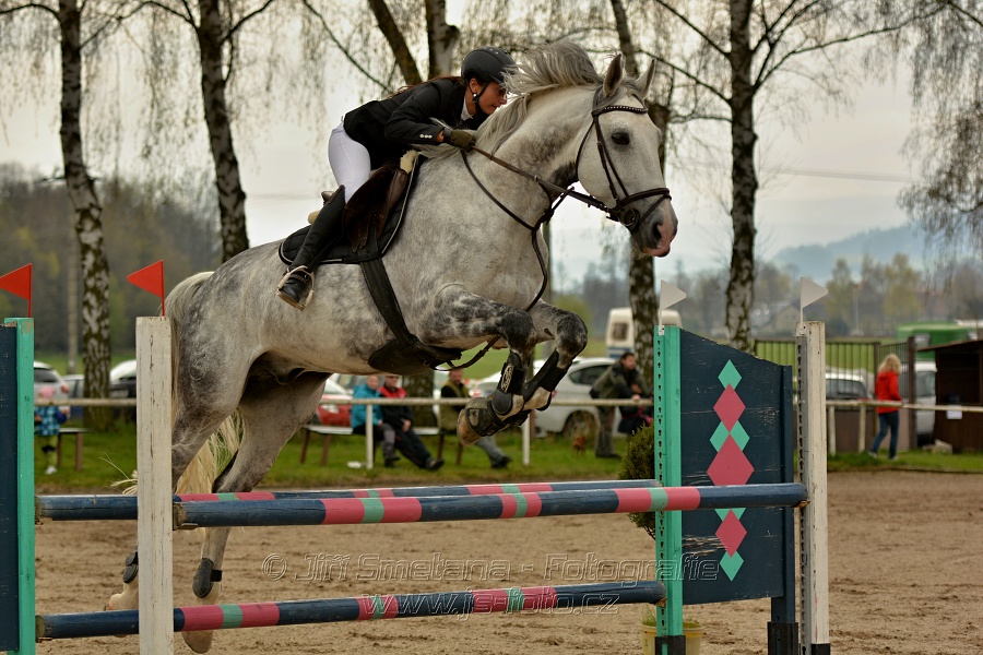 Skoková soutěž stupně „ZL“, bez rozeskakování