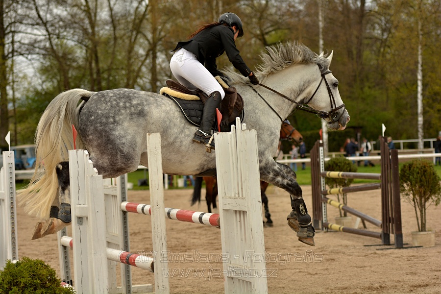 Skoková soutěž stupně „ZL“, bez rozeskakování