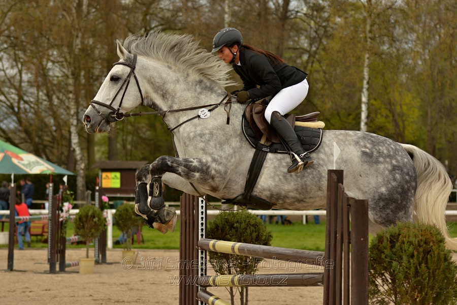 Skoková soutěž stupně „ZL“, bez rozeskakování