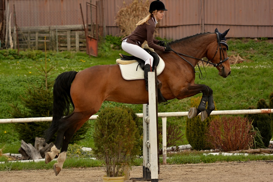 Skoková soutěž stupně „ZL“, bez rozeskakování