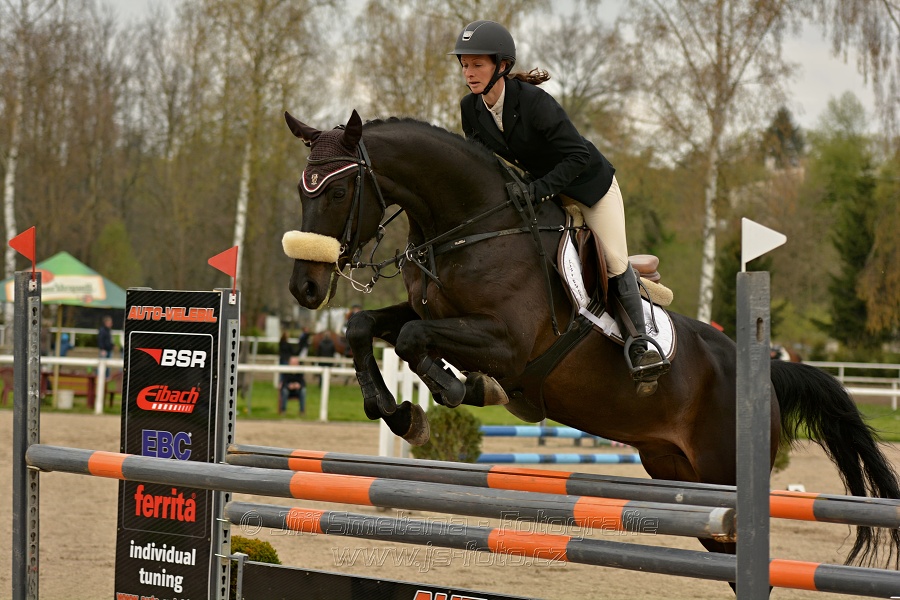 Skoková soutěž stupně „ZL“, bez rozeskakování