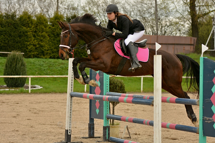 Skoková soutěž stupně „ZL“, bez rozeskakování