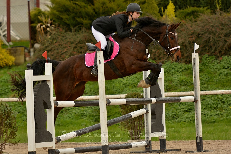 Skoková soutěž stupně „ZL“, bez rozeskakování