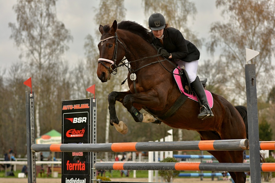 Skoková soutěž stupně „ZL“, bez rozeskakování