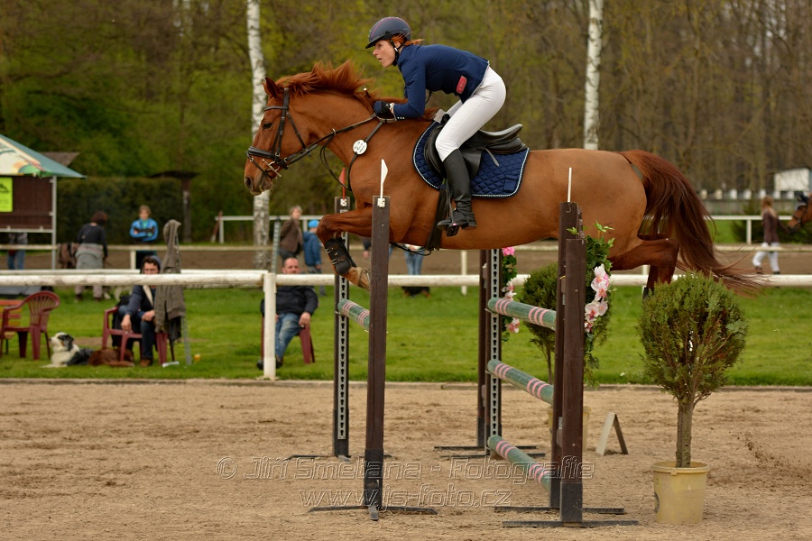 Skoková soutěž stupně „ZL“, bez rozeskakování