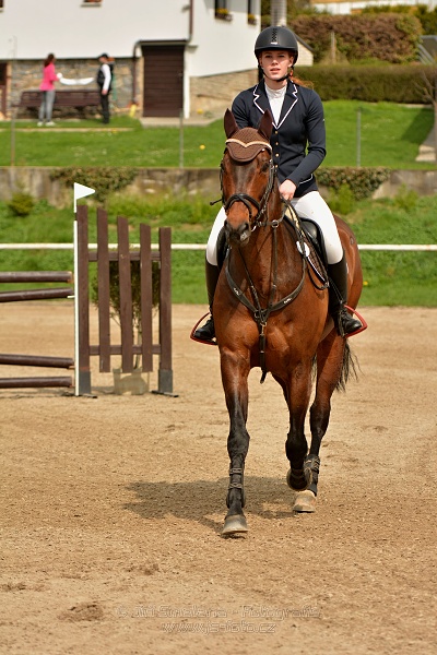 Skoková soutěž stupně „ZL“, bez rozeskakování