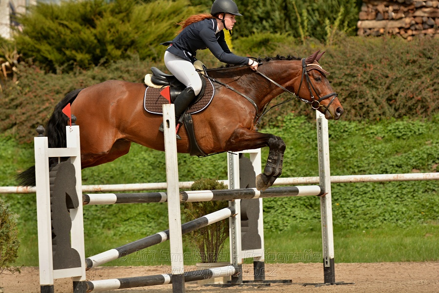 Skoková soutěž stupně „ZL“, bez rozeskakování