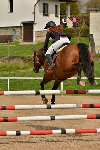 Skoková soutěž stupně „ZL“, bez rozeskakování
