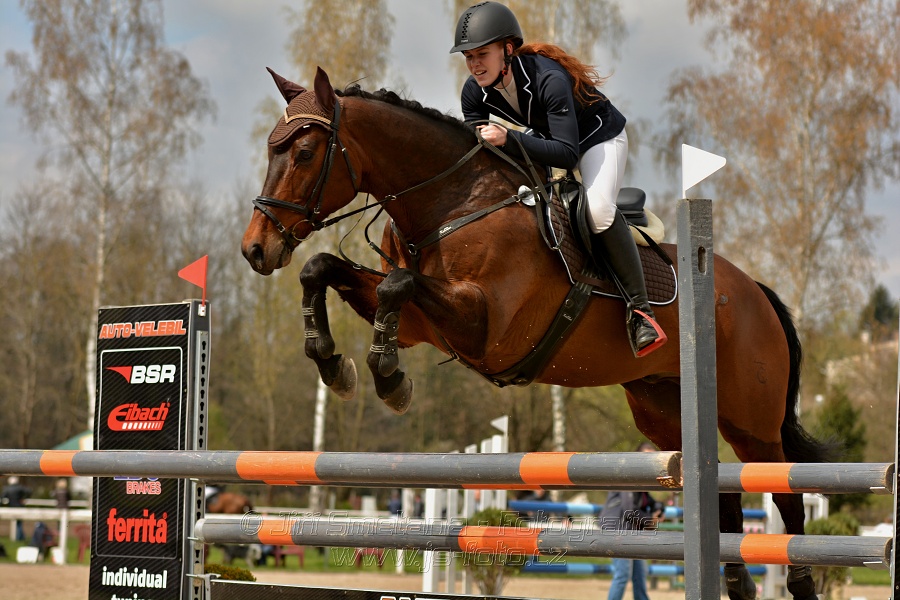 Skoková soutěž stupně „ZL“, bez rozeskakování