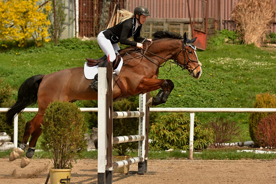 Skoková soutěž stupně „ZL“, bez rozeskakování