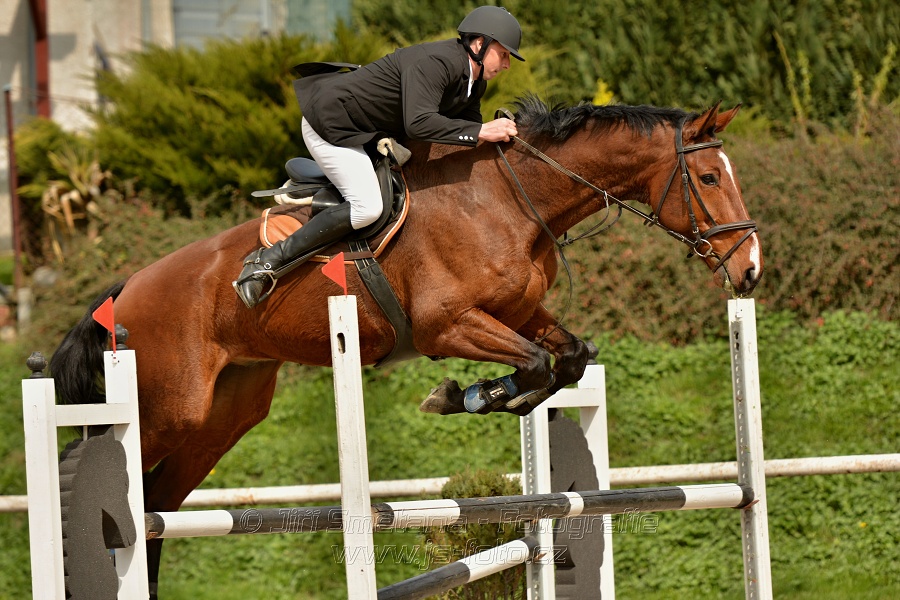 Skoková soutěž stupně „ZL“, bez rozeskakování