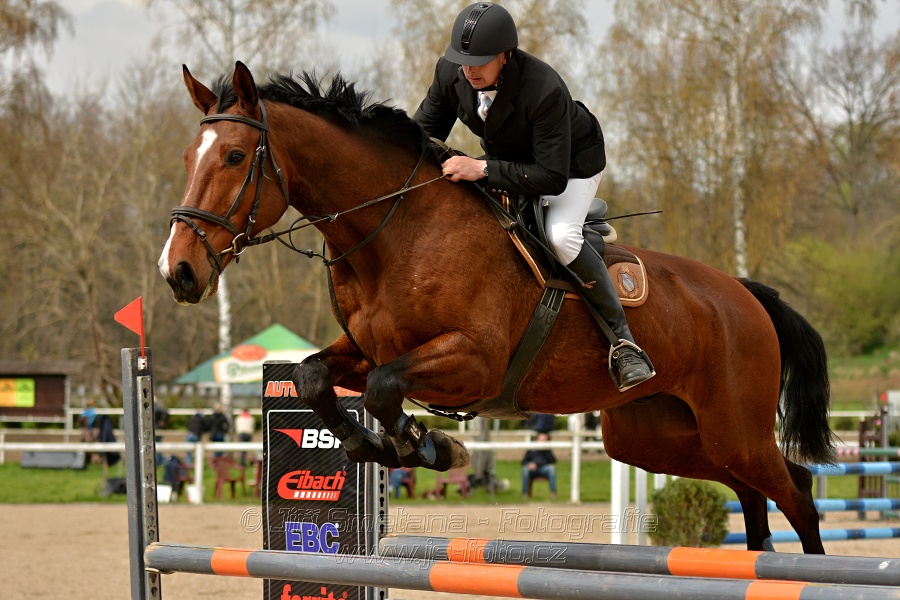 Skoková soutěž stupně „ZL“, bez rozeskakování