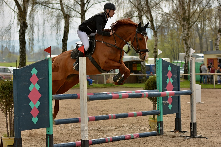 Skoková soutěž stupně „ZL“, bez rozeskakování