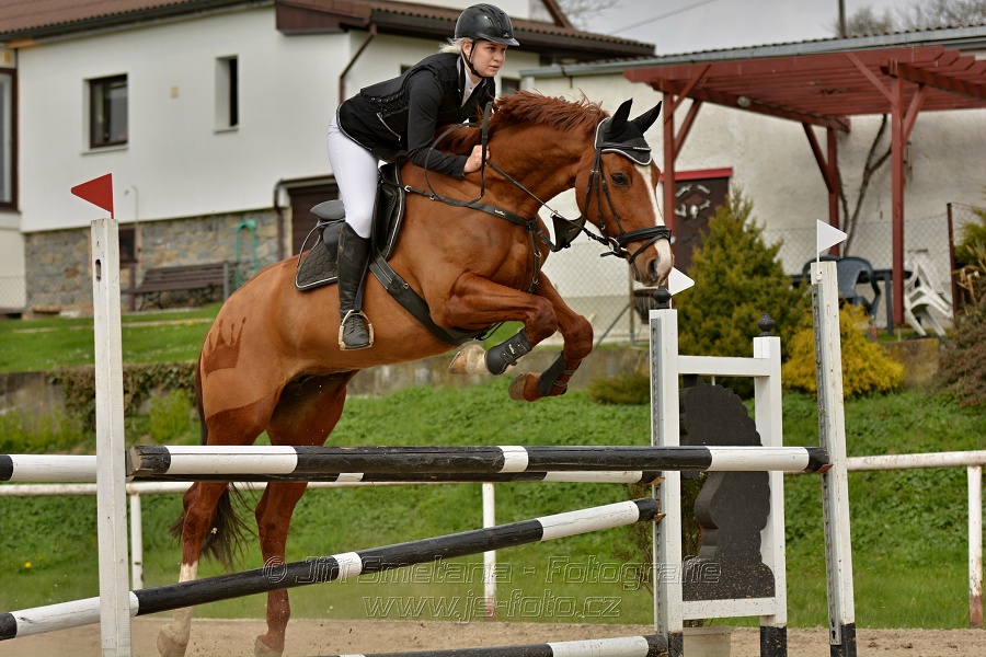 Skoková soutěž stupně „ZL“, bez rozeskakování