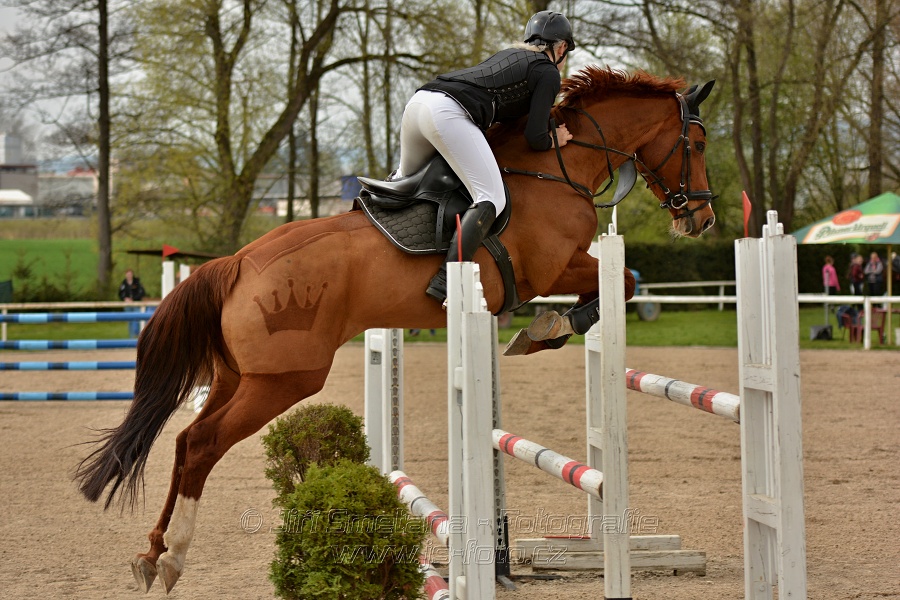 Skoková soutěž stupně „ZL“, bez rozeskakování