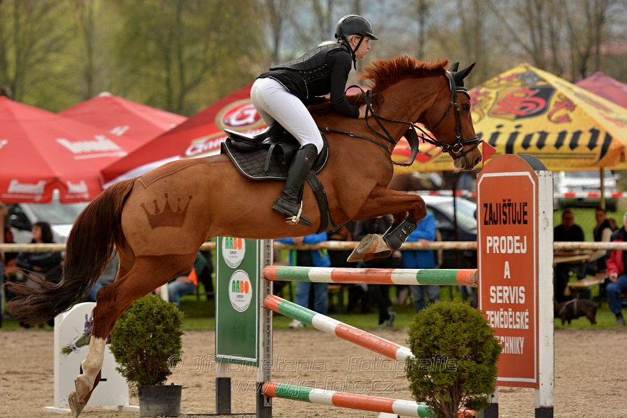 Skoková soutěž stupně „ZL“, bez rozeskakování