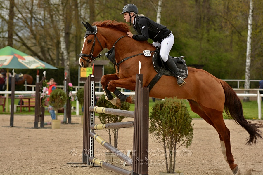 Skoková soutěž stupně „ZL“, bez rozeskakování