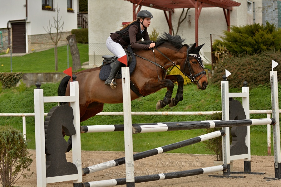 Skoková soutěž stupně „ZL“, bez rozeskakování