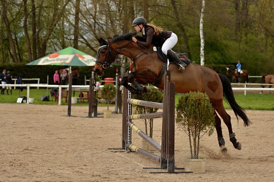 Skoková soutěž stupně „ZL“, bez rozeskakování