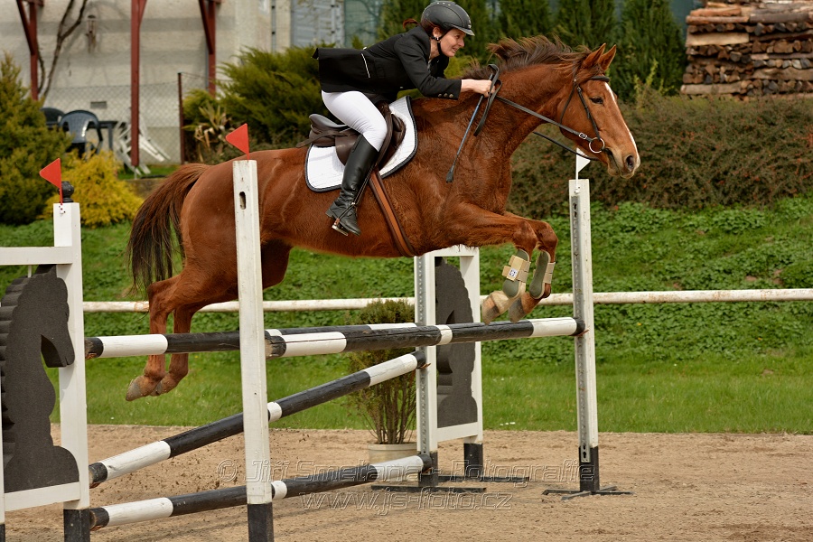 Skoková soutěž stupně „ZL“, bez rozeskakování