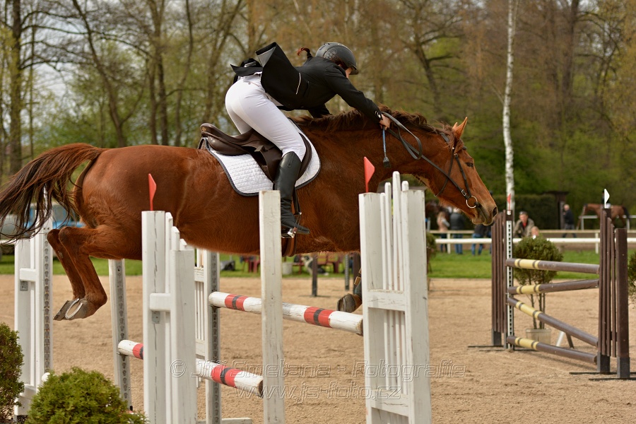 Skoková soutěž stupně „ZL“, bez rozeskakování