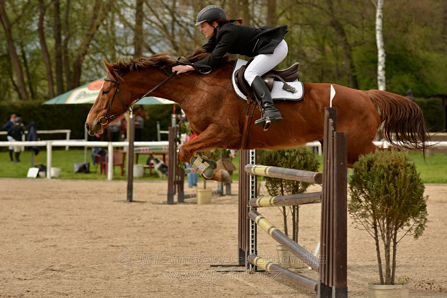 Skoková soutěž stupně „ZL“, bez rozeskakování