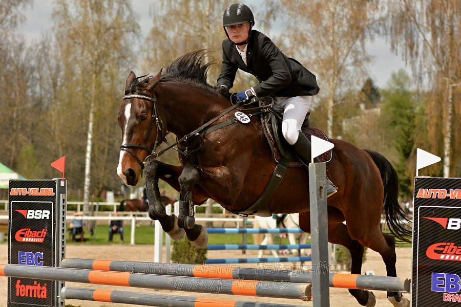 Skoková soutěž stupně „ZL“, bez rozeskakování