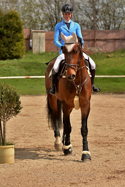 Skoková soutěž stupně „ZL“, bez rozeskakování
