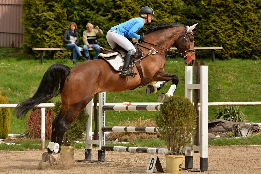 Skoková soutěž stupně „ZL“, bez rozeskakování