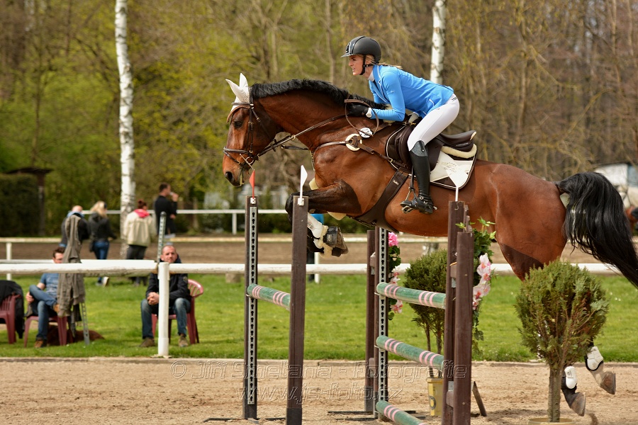 Skoková soutěž stupně „ZL“, bez rozeskakování