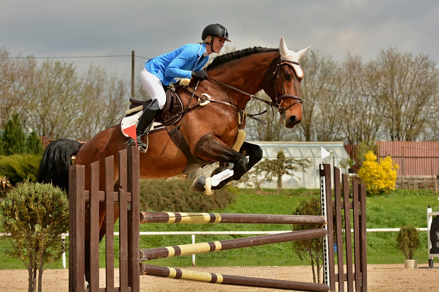 Skoková soutěž stupně „ZL“, bez rozeskakování