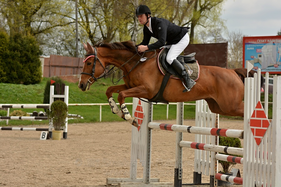 Skoková soutěž stupně „ZL“, bez rozeskakování