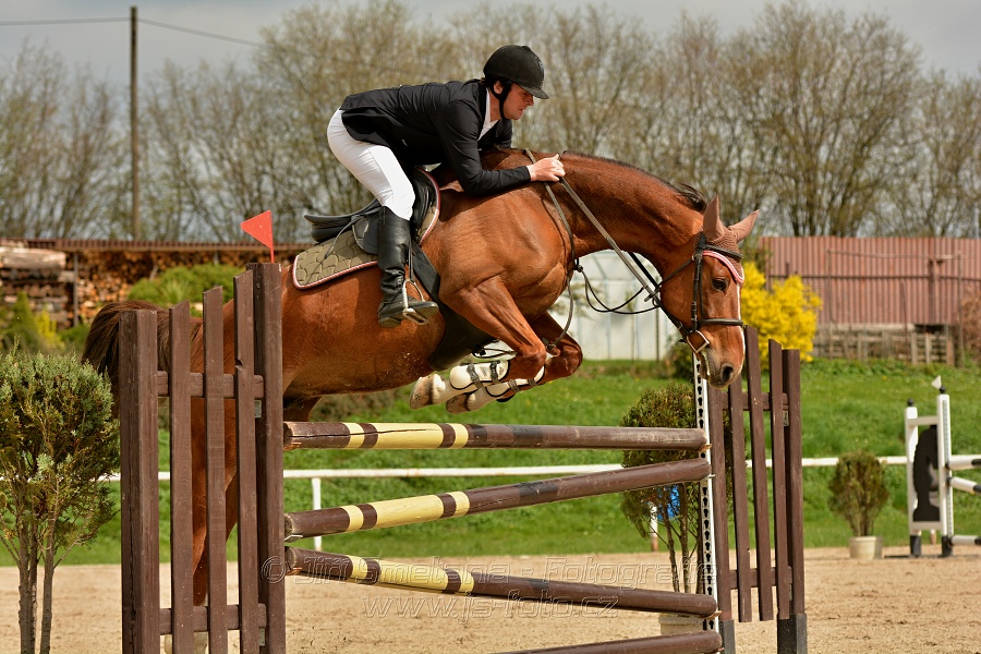 Skoková soutěž stupně „ZL“, bez rozeskakování