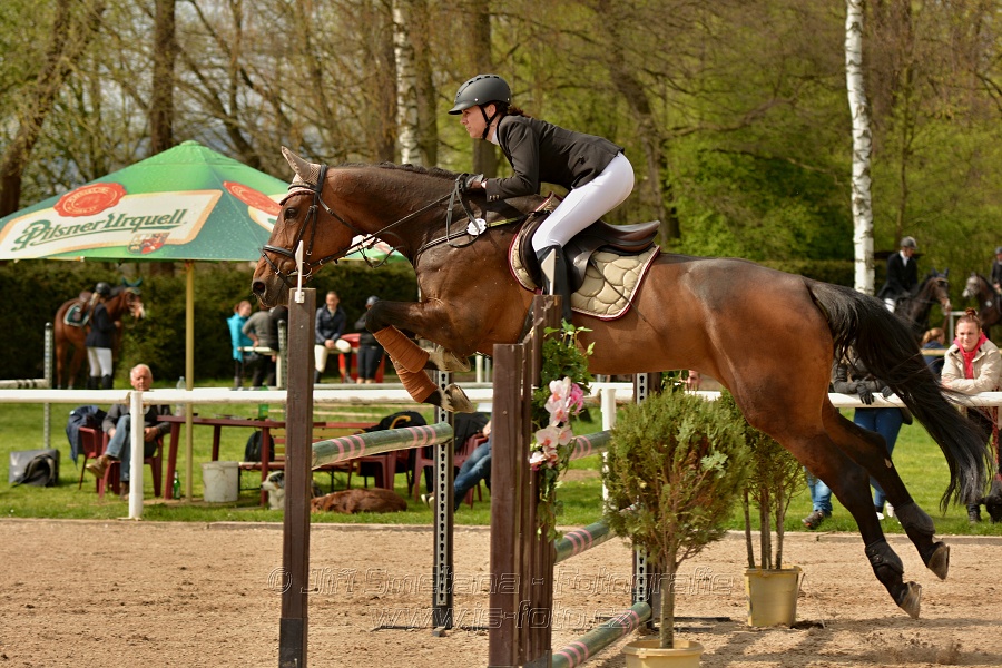 Skoková soutěž stupně „ZL“, bez rozeskakování